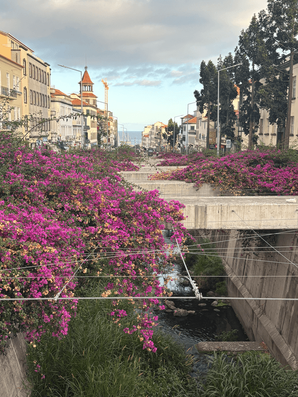 Canal