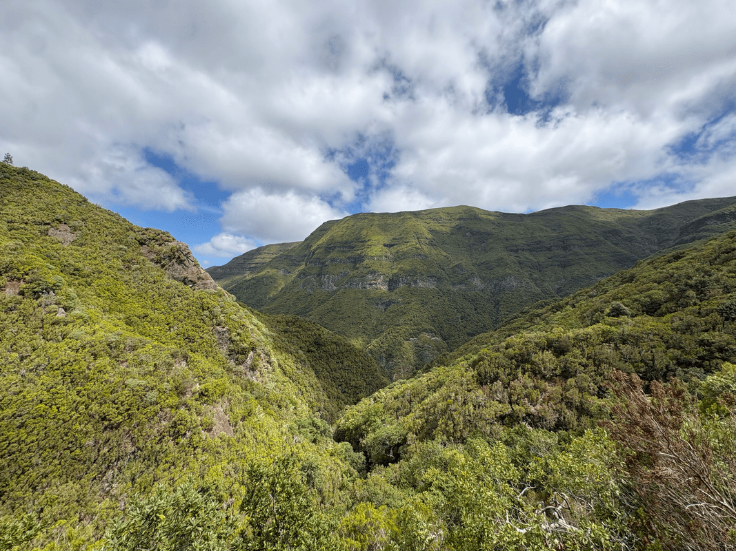 Vallée