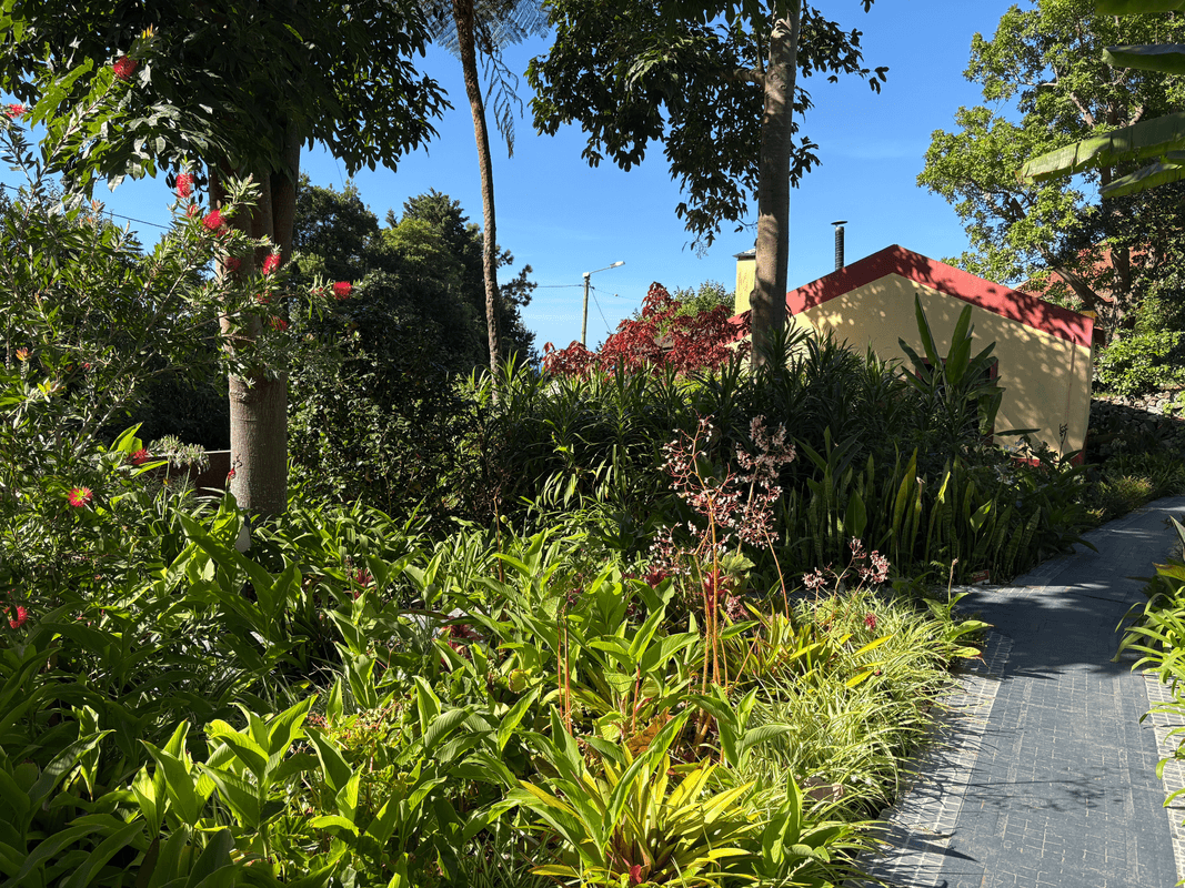 Allée arborée dans
l'hotel