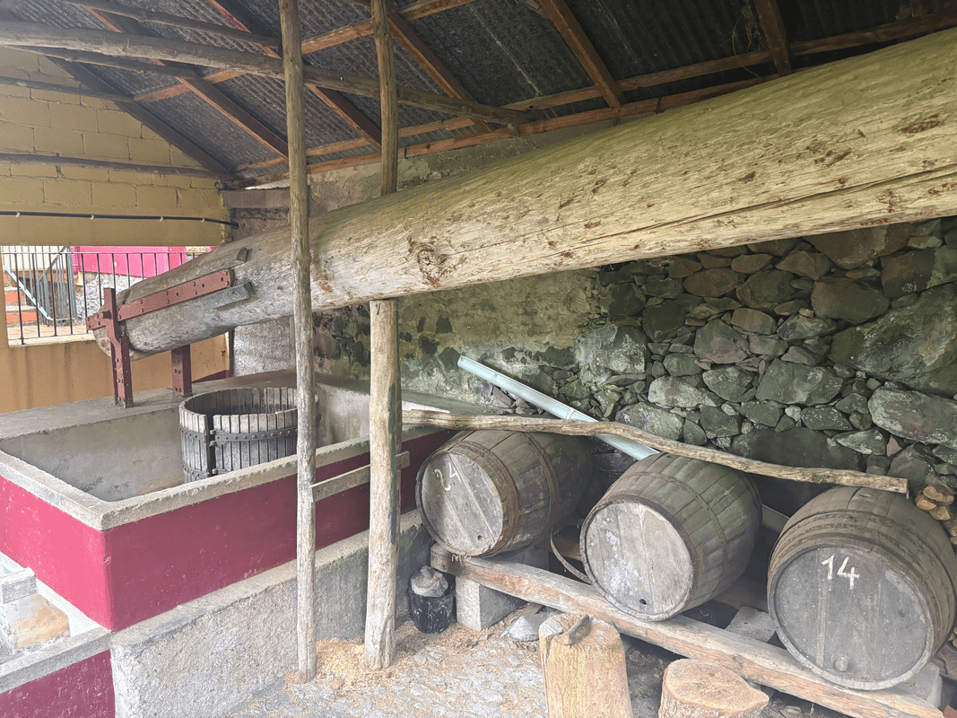 Fabrication du vin à
l'hôtel